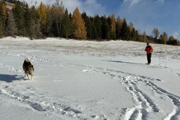 img-20241123-wa0021.jpg